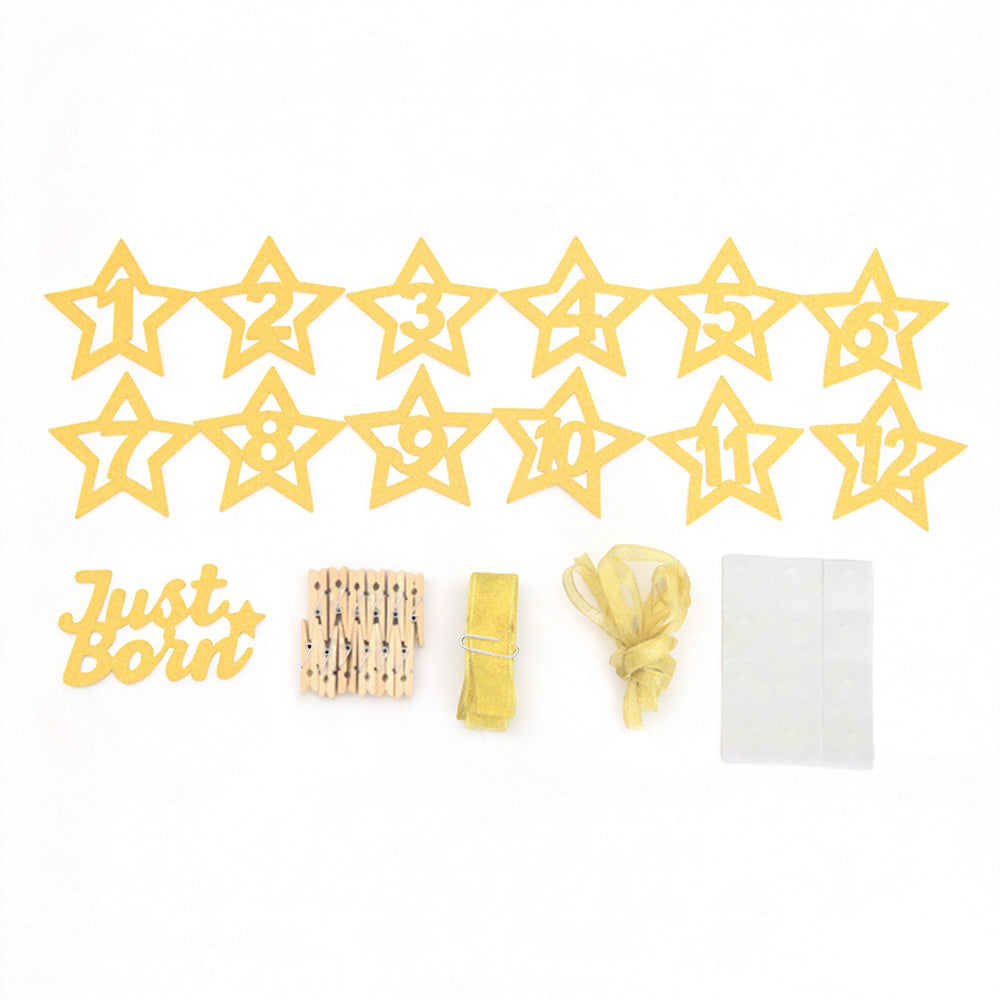 12 Month Photo Banner Star Photo Display with Photo Clips