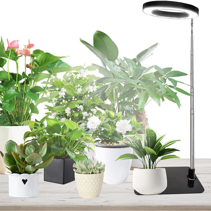 Grow Light for Indoor Plants Full Spectrum 20 LED with Adjustable Brightness
