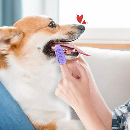 6PCS Dog Finger Toothbrush Kit ââ‚?Dental Care Teeth Brushing for Dogs
