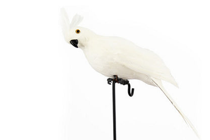 6 PCS Lifelike Artificial Birds Feathered Fake Shoulder Parrot Decor Model