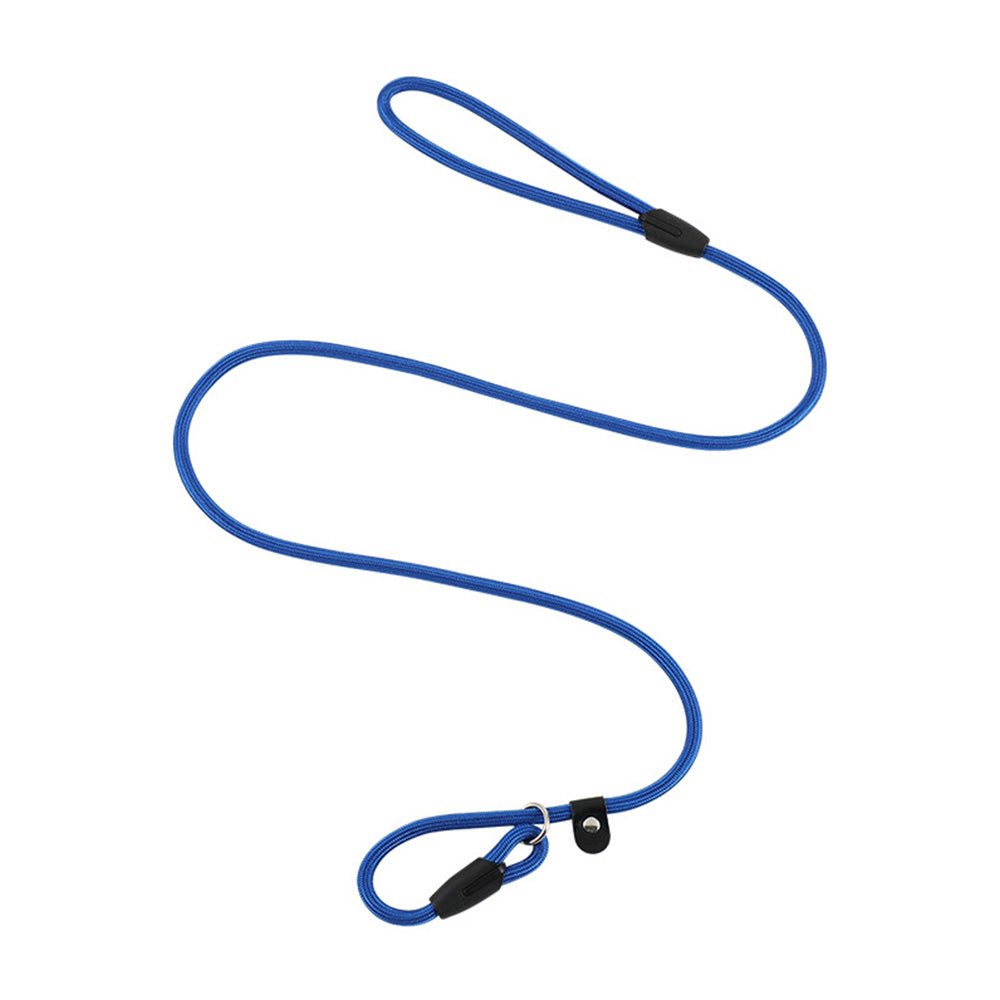 2 Pack 140cm Nylon Slip Lead Dog Leash P Chain Pet Training Rope Blue