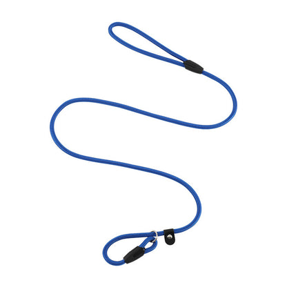 2 Pack 140cm Nylon Slip Lead Dog Leash P Chain Pet Training Rope Blue