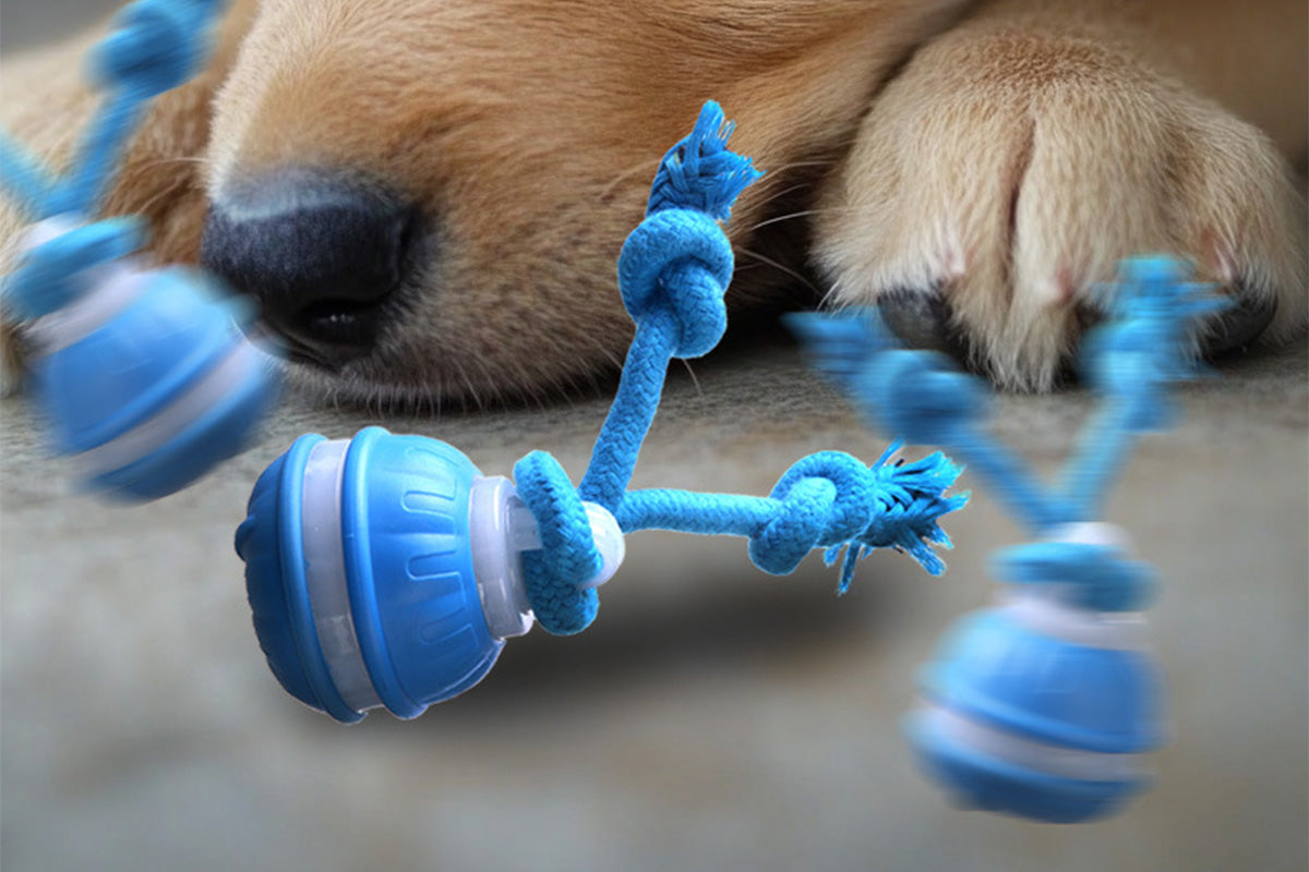 USB Rechargeable Motion Activated Rolling Dog Ball Toy Blue