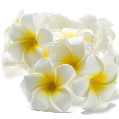 5M 20LEDs 6.5M 30LEDs Sloar String Light Lemon Decor Fairy String Lights