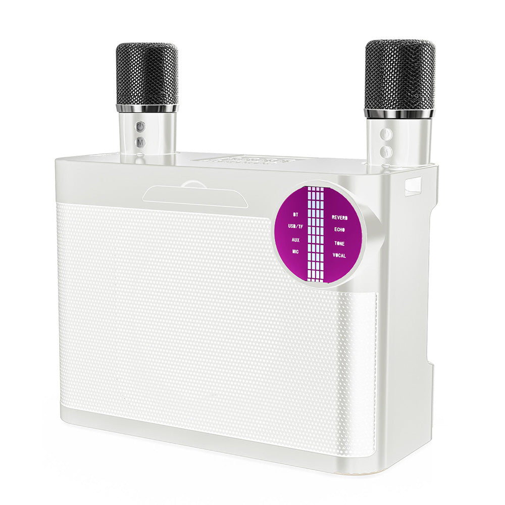 Portable Bluetooth 5.3 Speaker with 2 Wireless Microphones Home Karaoke Speaker Machine White