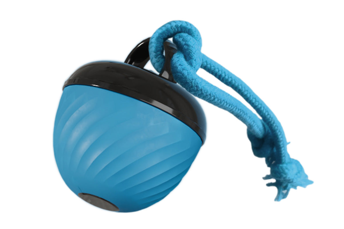 Squeaky Dog Toy Active Rolling Ball Interactive Dog Toys Motion Activated-Blue