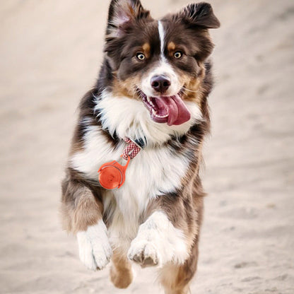 4-Mode Dog Collar Light for Night Walking Rechargeable Pet Collar LED Light Orange