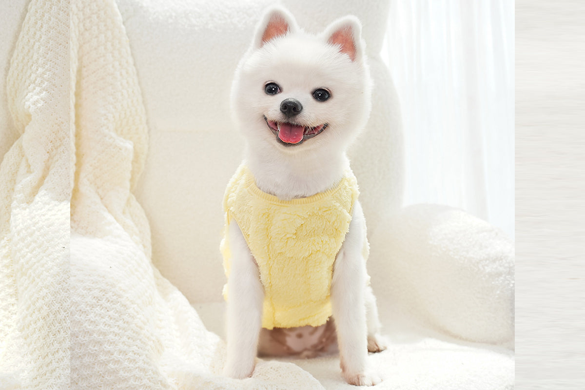 Sherpa Fleece Dog Jumper Sweater with D-Ring for Small Dogs Chihuahua Yorkshire -Yellow