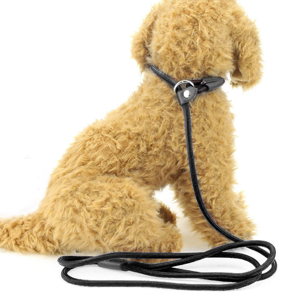 2 Pack 1.4M Pet Training Leash Slip Lead Pets Nylon Rope - Black