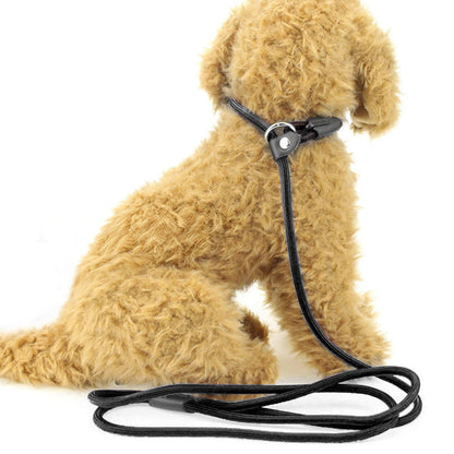 2 Pack 1.4M Pet Training Leash Slip Lead Pets Nylon Rope - Black