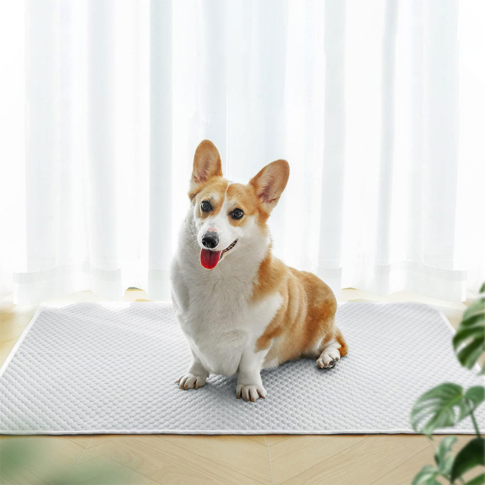 Pet Cooling Mat Dog Cat Breathable Summer Cooling Pad Light Grey
