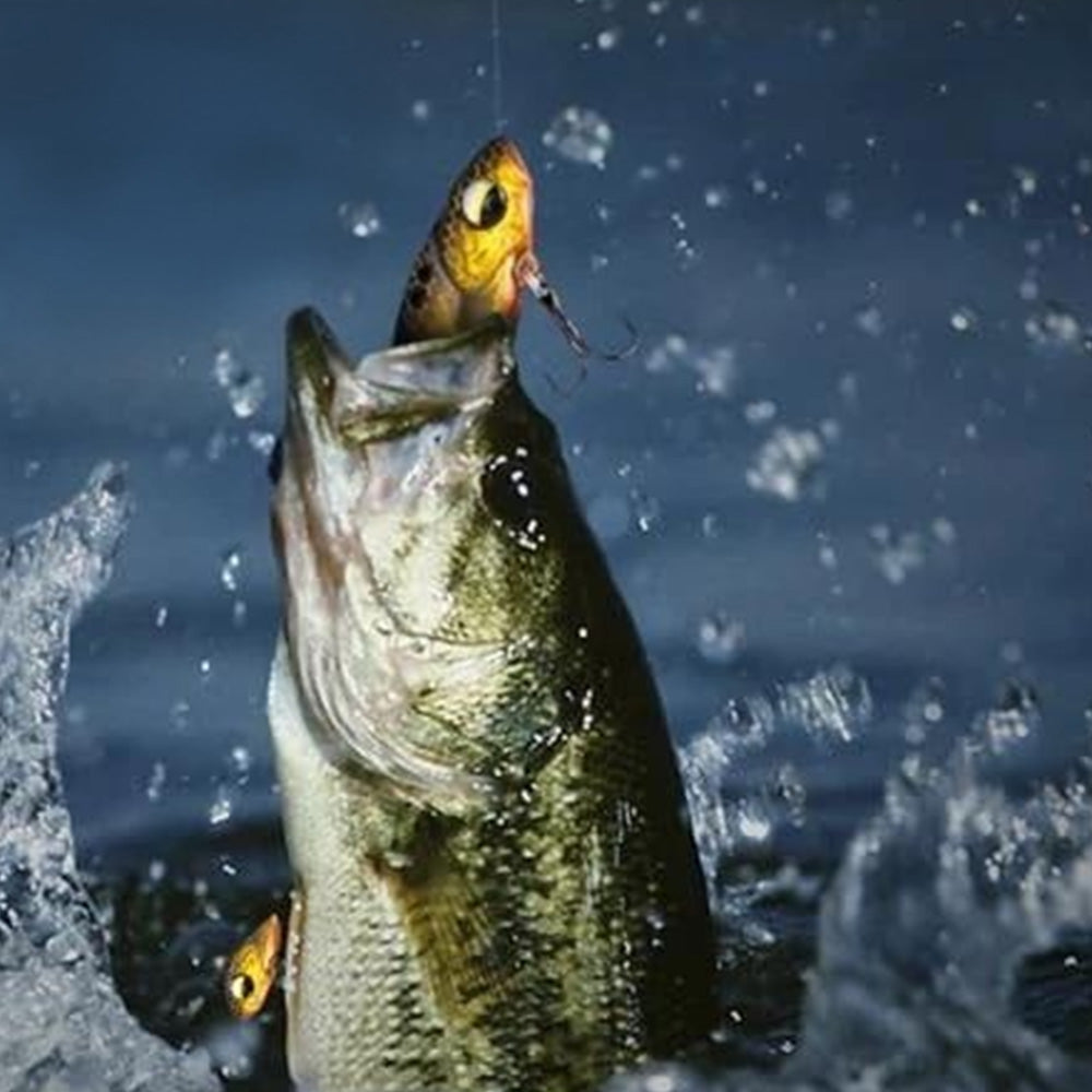 Fishing Advent Calendar 24-Day Christmas Countdown with Tackle and Lure Gifts Style 1