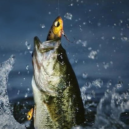 Fishing Advent Calendar 24-Day Christmas Countdown with Tackle and Lure Gifts Style 1