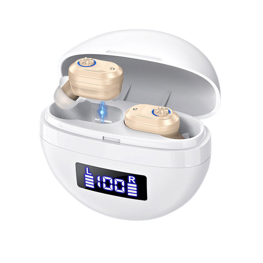 Pair of Invisible Digital Hearing Aids Rechargeable Mini Sound Enhancer Amplifier with Charging Case Style 2