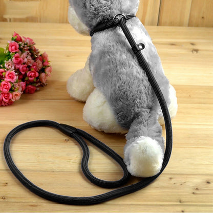 2 Pack 1.4M Pet Training Leash Slip Lead Pets Nylon Rope - Black
