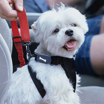 4Pcs Pet Cat Collar Holder Silicone Case for Samsung Galaxy SmartTag2 Style 2