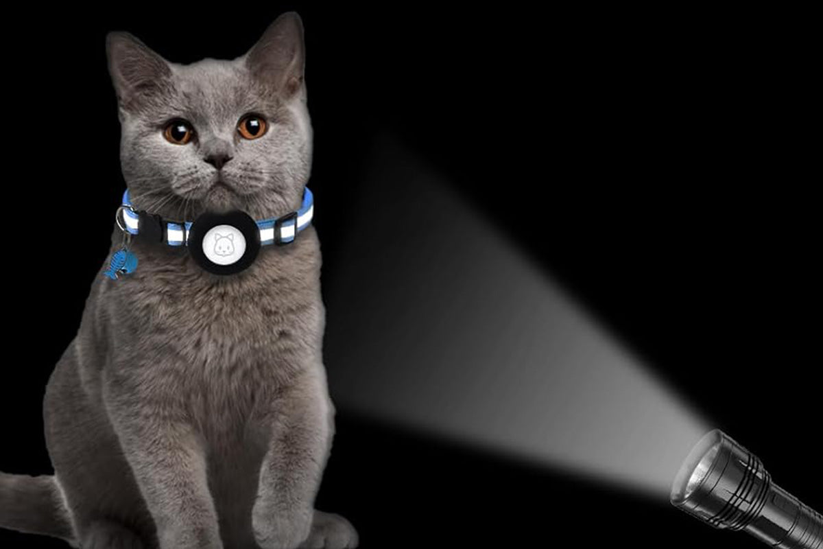 Adjustable Cat Collar Compatible with Apple Airtag - Sky Blue