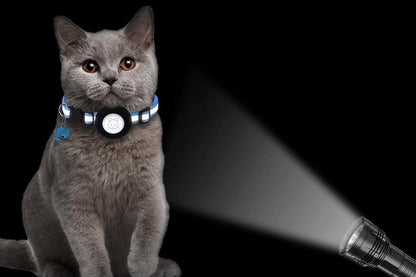 Adjustable Cat Collar Compatible with Apple Airtag - Sky Blue