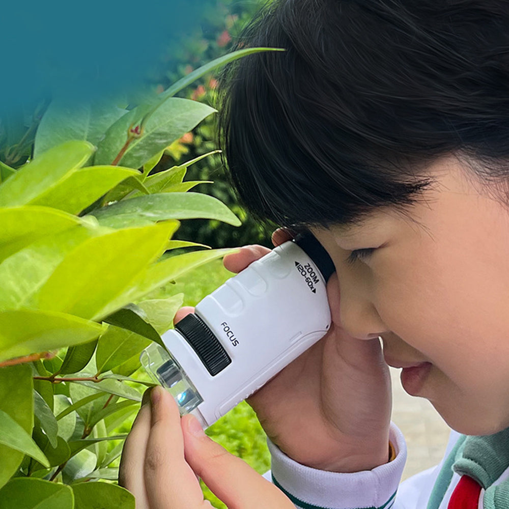 60X-120X Pocket Kids Microscope Portable Handheld Miniscope White