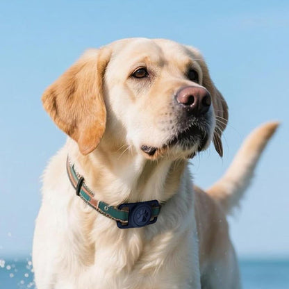 2PCS Waterproof Silicone Dog Collar Holder for Apple AirTag Blue