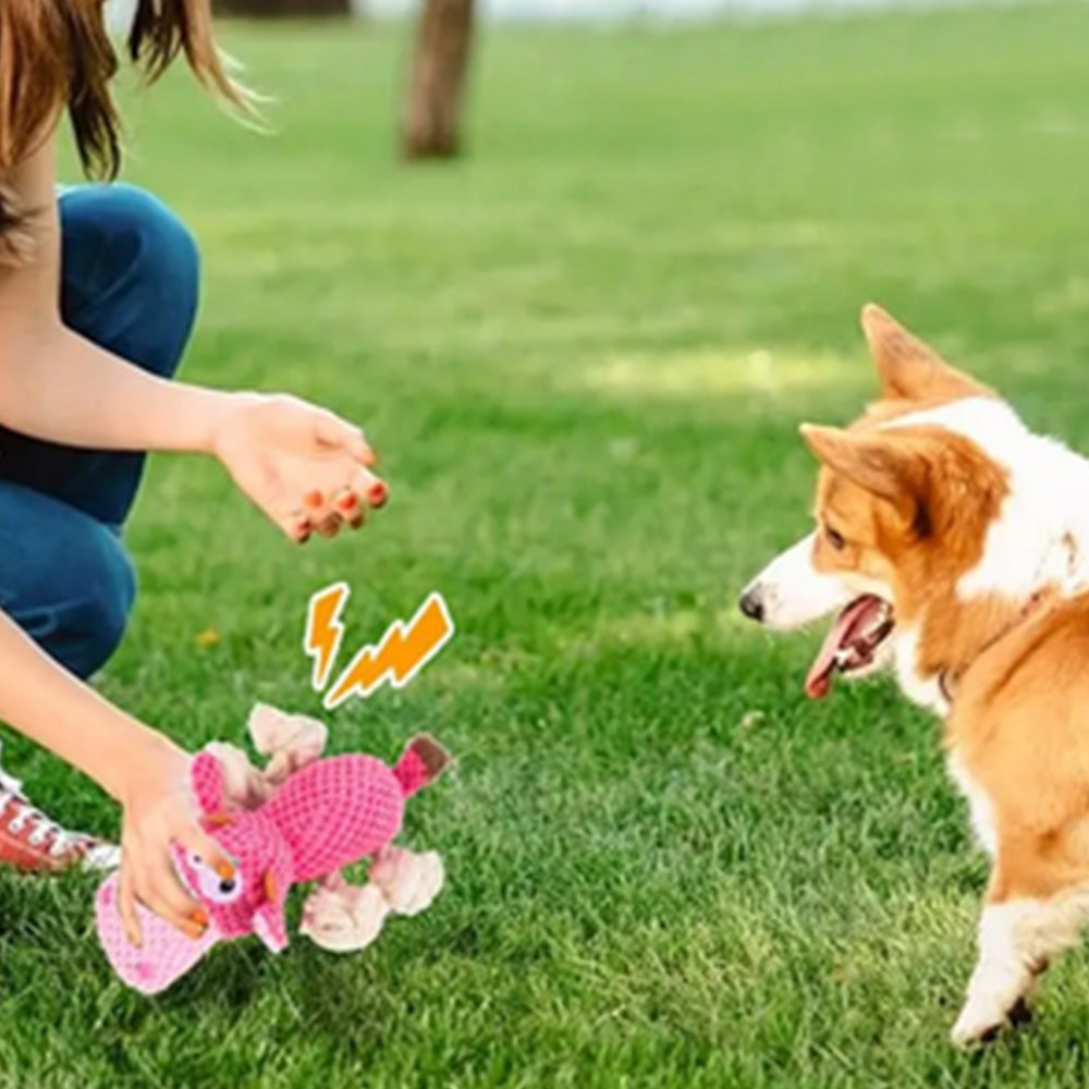 Dog Toys for Aggressive Chewers ââ‚?Squeaky Toys to Keep Dogs Busy Style 2