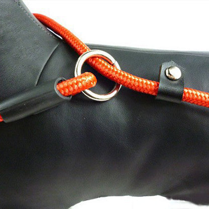 2 Pack 140cm Nylon Slip Lead Dog Leash P Chain Pet Training Rope Red