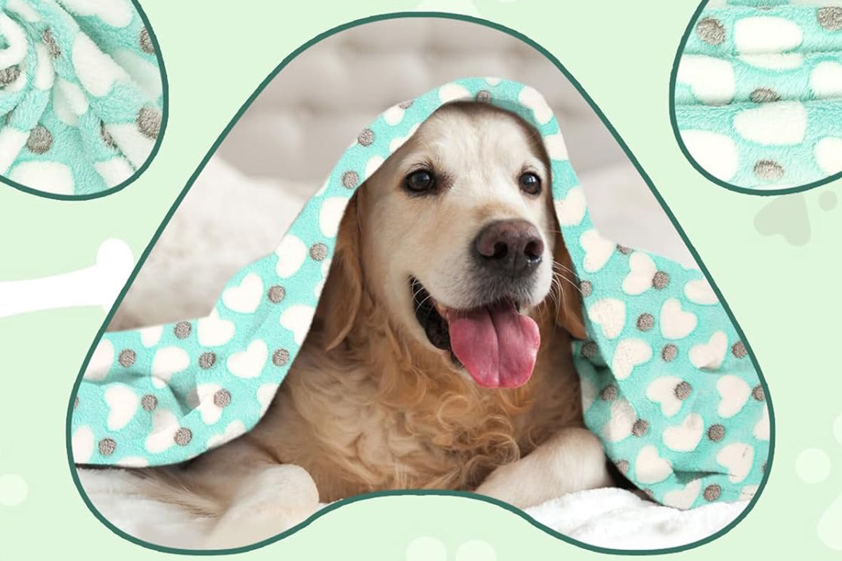 107x75cm Fluffy Fleece Dog Blanket Mat Paw Print Puppy Kitten Throw Blanket -Green