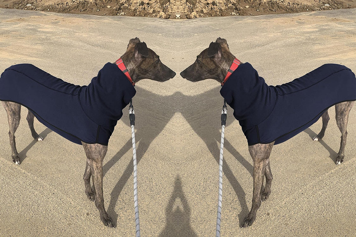 Dog Jumper Fleece Vest Sweater Stretch Sweatshirt - Blue