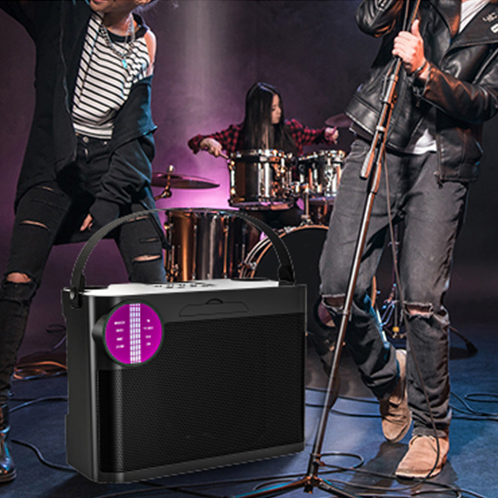 Portable Bluetooth 5.3 Speaker with 2 Wireless Microphones Home Karaoke Speaker Machine Black