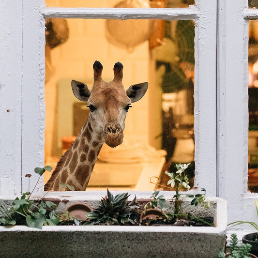 Cute Animals Window Decor Wall Stickers Funny Giraffe Wall Decals-Style 2