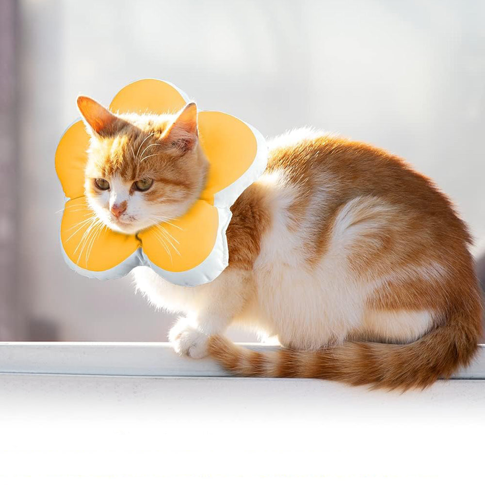 Cat Cone Collar Elizabethan Collar Anti-Bite Lick Cat Recovery Neck Collar Yellow