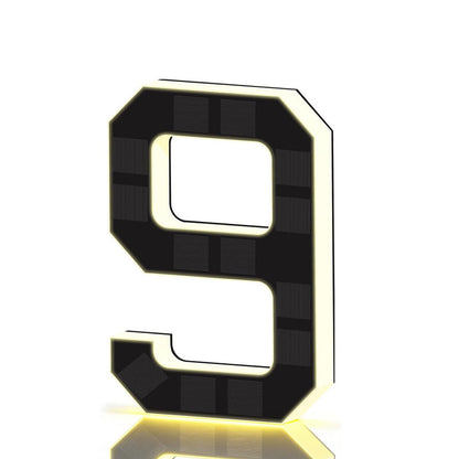 Solar Illuminated Address Sign with Light -Number 9