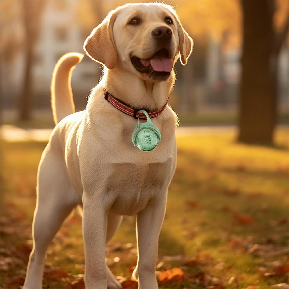 4-Mode Dog Collar Light for Night Walking Rechargeable Pet Collar LED Light Green