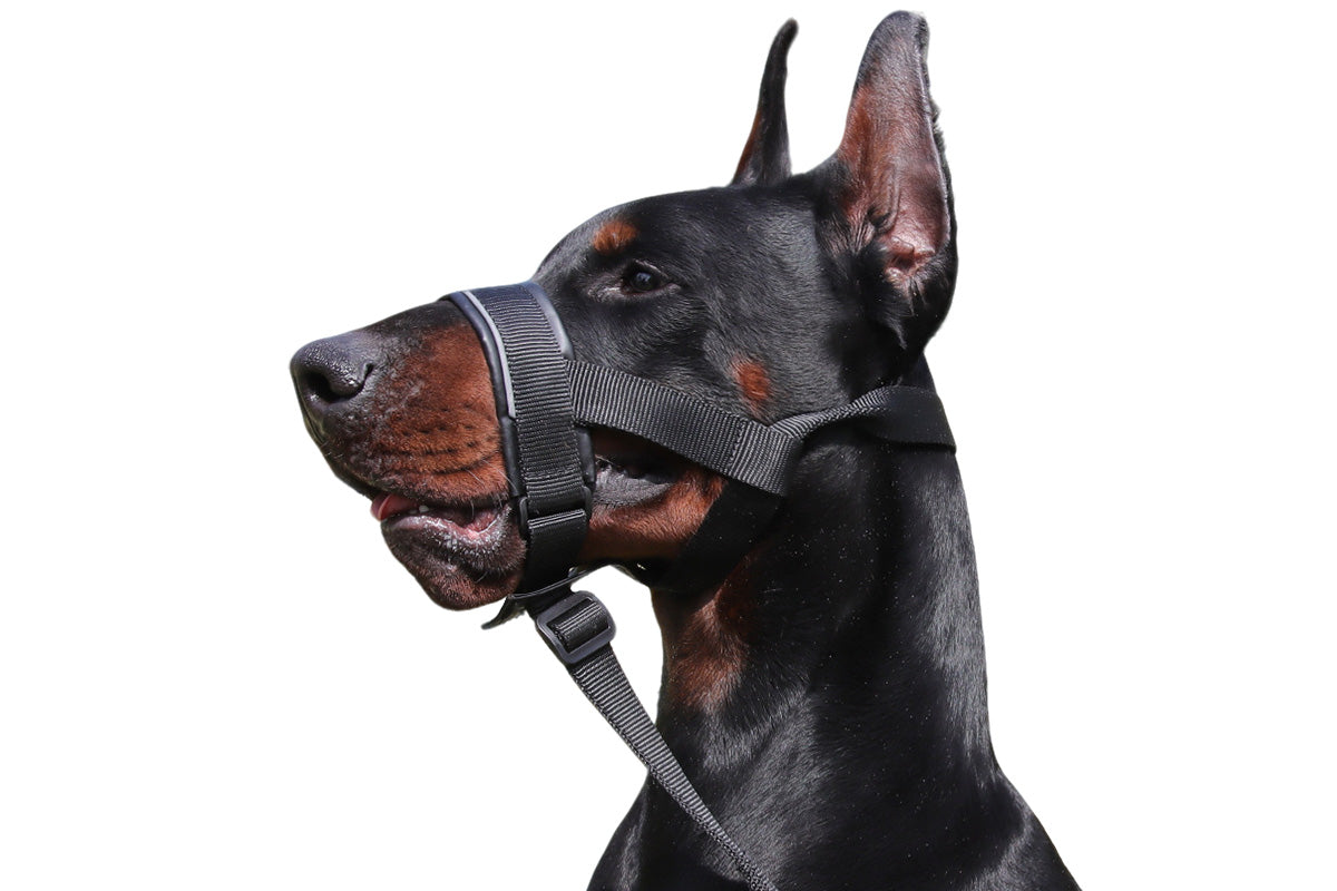 Adjustable Dog Head Collar with Padded Nose Loop for Training