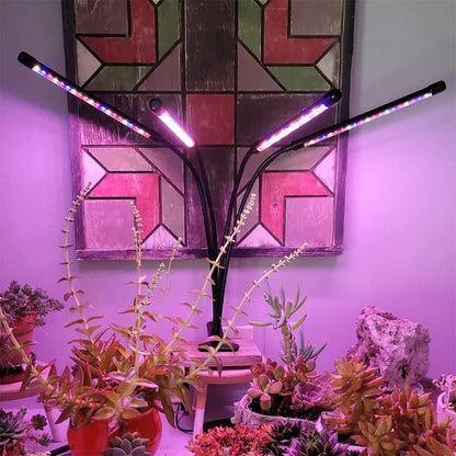 Grow Light for Indoor Plants, Red Blue Spectrum with 9 Dimmable Levels