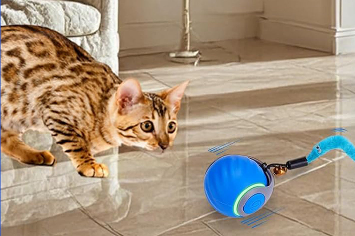 Interactive Cat Toy Ball Automatic Cat Toys Indoor Cats with 3 Tails -Blue