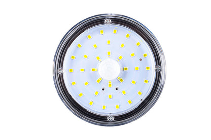 Motion Sensing Solar Wall Light with String Light