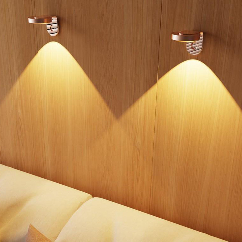 Rotating Picture Light with 3 Light Modes