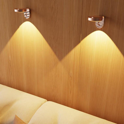 Rotating Picture Light with 3 Light Modes