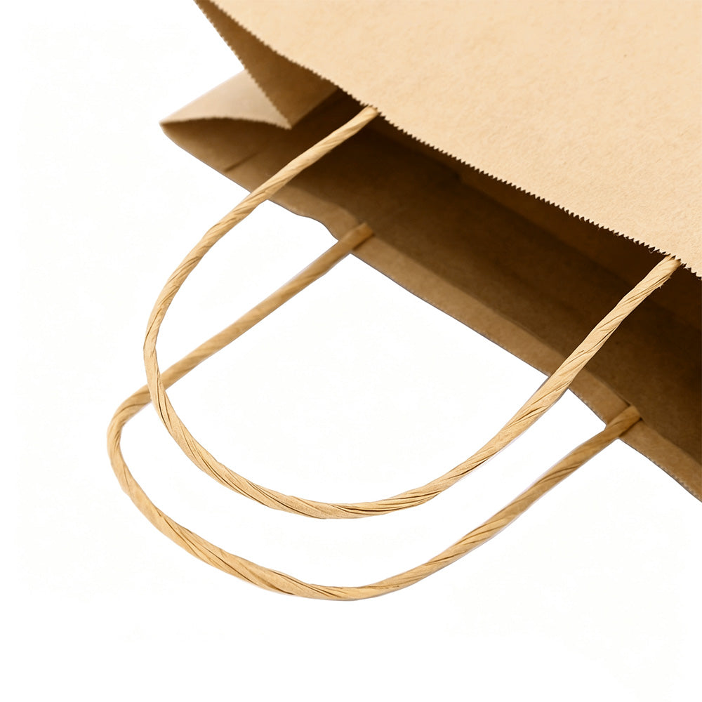 100 Pack Brown Kraft Paper Gift Shopping Bags with Handles