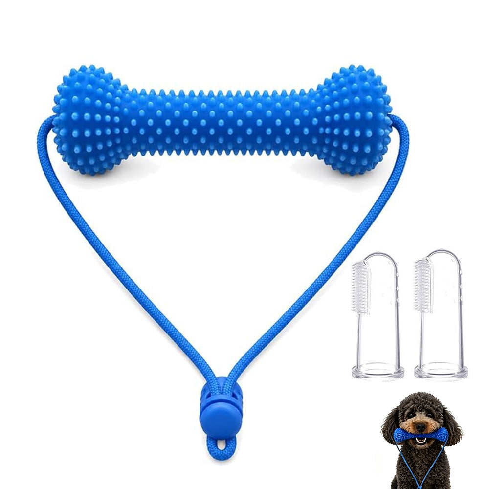 Durable Rubber Bone Dog Chew Toy with 2 Toothbrushes