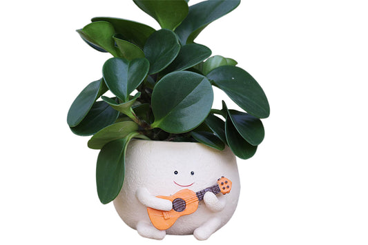 Smily Face Planter Pot with Drainage Hole Cute Resin Head Planters Unique Guitar Succulent Pots for Indoor Outdoor Plants Gift