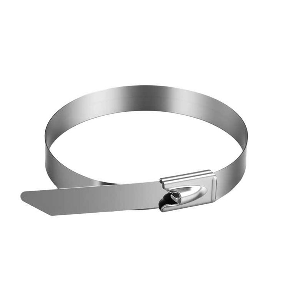 100 Piece 304 Stainless Steel Self-Locking Cable Ties 0.46 cm Wide 30 cm