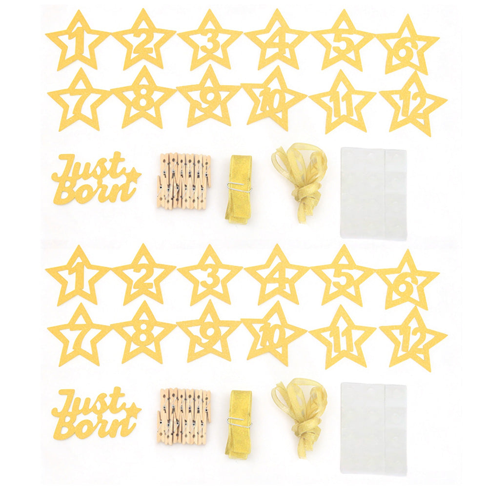 1 to 12 Month Glitter Star Photo Banner for First Birthday Party