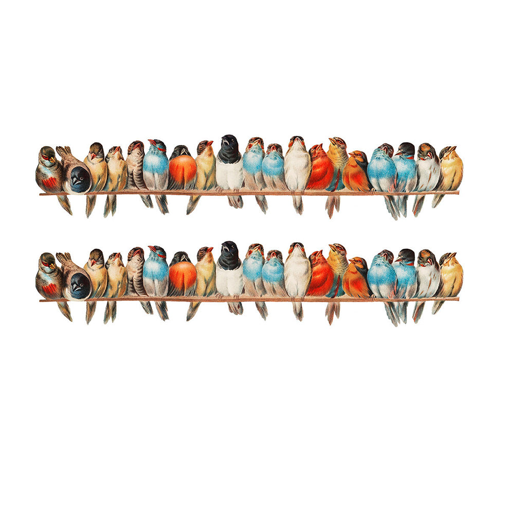 2 Sets of 19Pcs PVC Birds Wall Stickers for Living Room Classroom