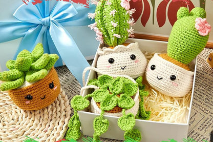 6 Pack Hanging Potted Plants Craft Knitting Knitting Kits With  Hooks Yarn Set