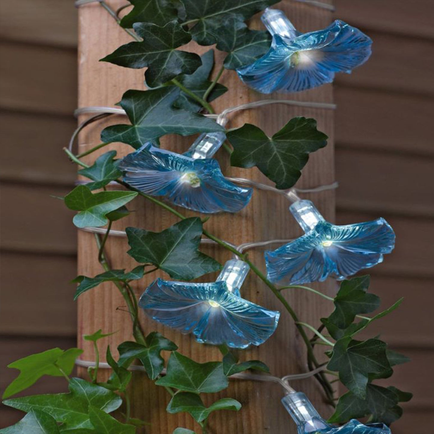 10LEDs Morning Glory Solar String Lights Garden Decor Flower Lantern