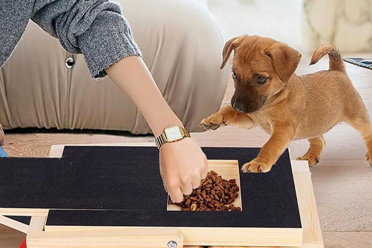 Dog Scratch Board for Nails Trimming Tool Alternative to Dog Nail Clippers