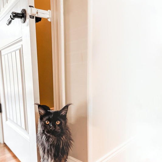 Stretchable Door Prop for Cats Cat Door Latch Holder Dog Proof Door Stopper