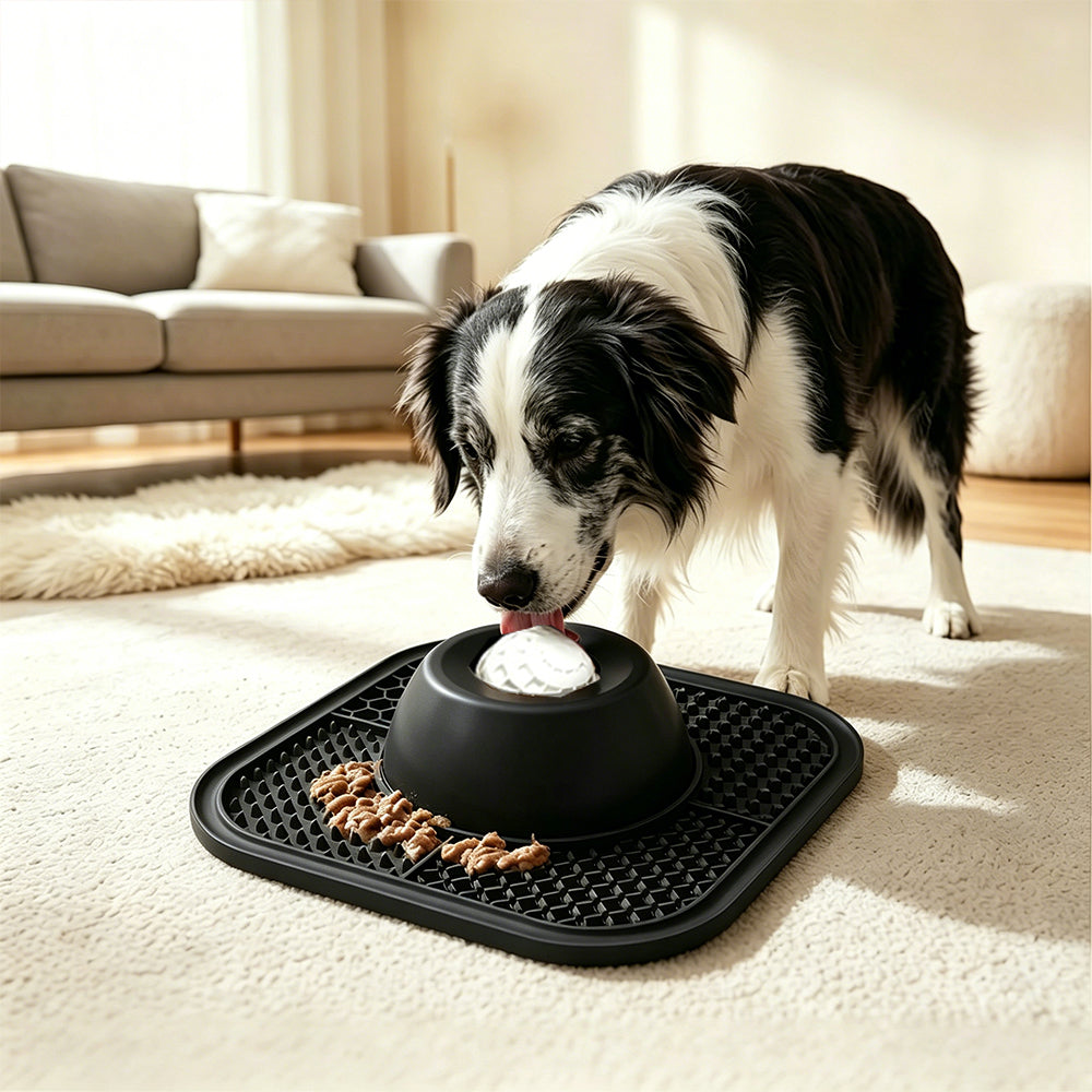 2 in 1 Dog Slow Feeder Bowl with Rolling Ball Lick Mat Non Slip Suction Cup-Black